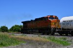 BNSF 4093 Roster shot.